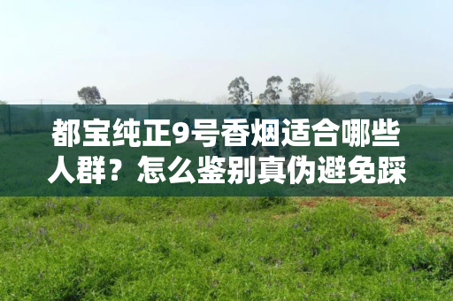 都宝纯正9号香烟适合哪些人群？怎么鉴别真伪避免踩坑？