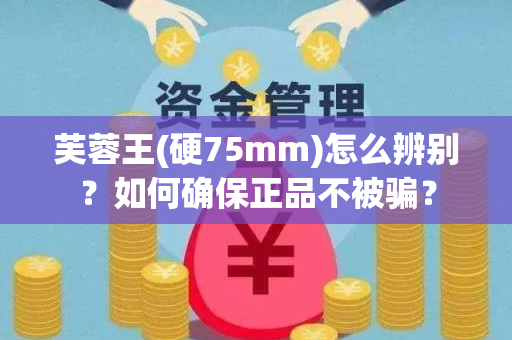 芙蓉王(硬75mm)怎么辨别？如何确保正品不被骗？